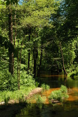 Roztoczanski Park Narodowy