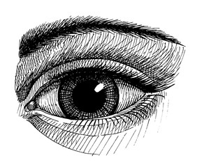 widely open eye, vintage ink hand drawn illustration