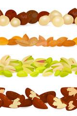 collection of seamless borders with different nuts. almonds,  pi