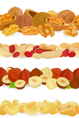 collection seamless borders with different nuts. walnuts, peanut