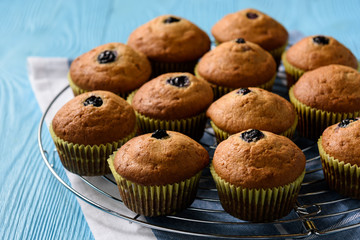 Homemade buckwheat muffins with blueberries.