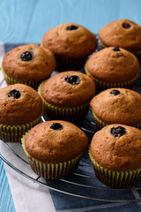 Homemade buckwheat muffins with blueberries.
