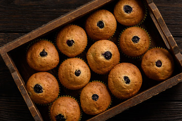 Homemade buckwheat muffins with blueberries.