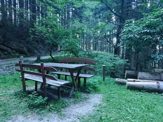 Parco delle foreste casentinesi