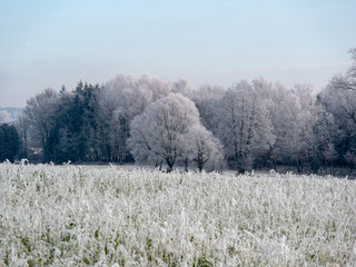Image of romantic winter landscape after the first snow