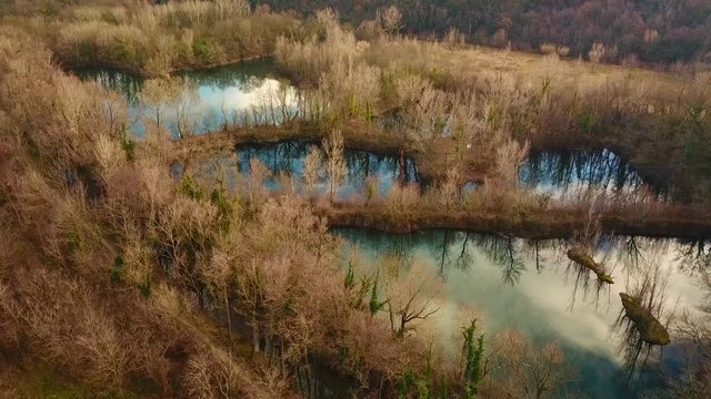aerial shot from the drone,ponds in the green. Laghetti delle Noghere , Muggia Italy 