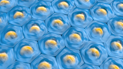 3d illustration of a top view on blue cell pattern with yellow cell nucleus
