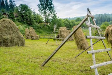 Haystacks in a meadow in the Carpathian Mountains. Carpathian Landscape.