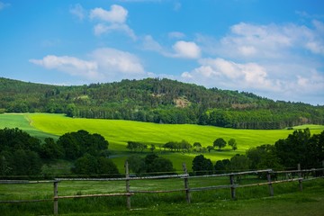 View of scenic farmland, rural countryside, green grass, yellow field with rape plent, bushes, a hill in distance covered with trees, blue sky, white clouds, pasture, road