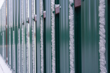 The fence is made of metal plates of green color with adhering snow.