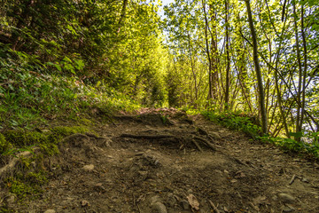 Klettern am Bodensee