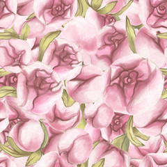 Seamless pattern. Valentines Day. Delicate Love. Hand drawn water color Peony Flowers with leaves.