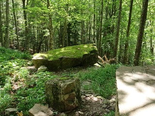 Parco delle foreste casentinesi