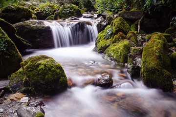 Obraz premium Mountain River with Cascades and Waterfall Flowing in the Himalayas. Forest Creek with Pure Transparent Water in Nepal