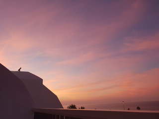Rosa Sonnenuntergang - Lanzarote