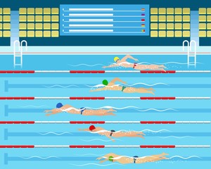 Swimmers in pool. Male swimming racing in sport pool vector illustration, sports swim competition for men