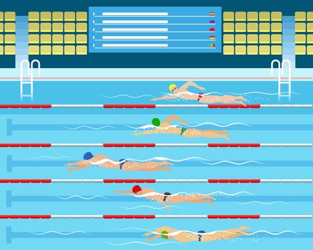 Swimmers in pool. Male swimming racing in sport pool vector illustration, sports swim competition for men