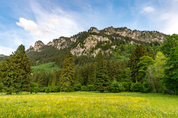 Wunderschöne Landschaft rund um den Tegelberg