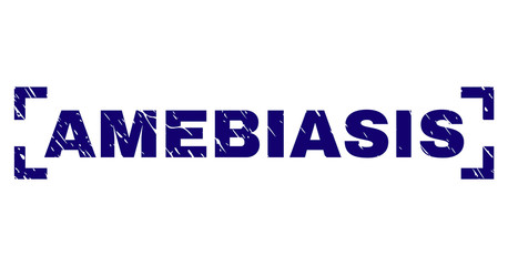 AMEBIASIS text seal print with distress texture. Text title is placed inside corners. Blue vector rubber print of AMEBIASIS with unclean texture.