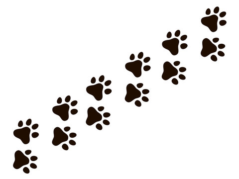 Cats paw trail. Footprints wolf cat dog, puppy trails nature print vector pattern