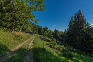Fototapeta na wymiar Summer hot color morning in Javorniky mountains