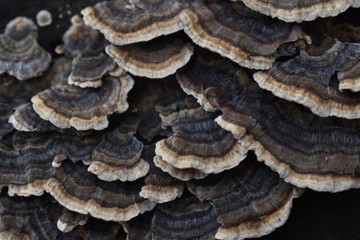 57