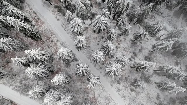 Flug &uuml;ber Winterlandschaft durch Nebel Schnee B&auml;ume und Wege
