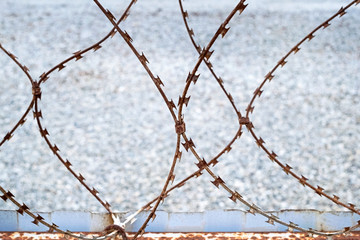 Rusty barbed wire on the background of the fence and sea pebbles