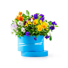 Gift box with pansy flowers