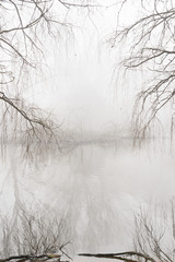 Landscape with fog