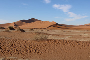 Dünenlandschaft