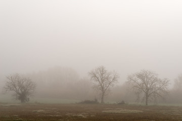 Obraz na płótnie Canvas Landscape with fog