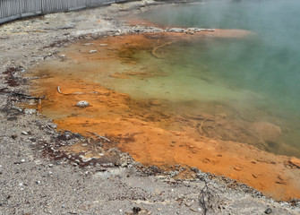 Waiotapu Thermal Wonderland Champagne Pool - New Zealand