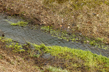 Small river through park in the winter without snow