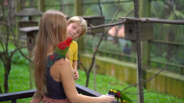 mother and son in a bird park feed a group of green and red parrots with a milk