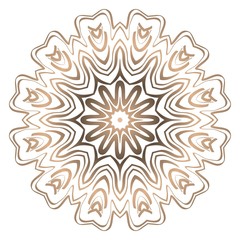 Fototapeta na wymiar Modern Decorative floral color mandala. round Shapes. illustration.