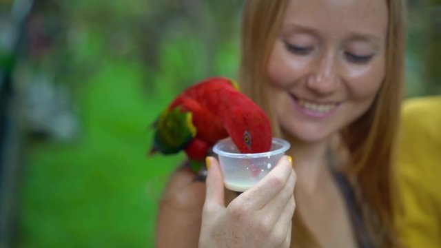 mother and son in a bird park feed a group of green and red parrots with a milk