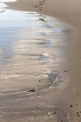 Footprints on sand on the beach