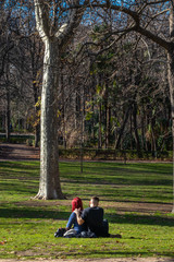 Naklejka na ściany i meble Young couple in love on the grass in an outdoor park