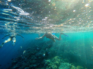 Fototapeta na wymiar red sea people swim under water