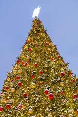 Christmas tree in the Central square of the city