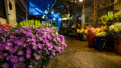 Beautiful flowers with blurred background