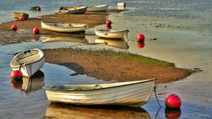 Boats at low tide