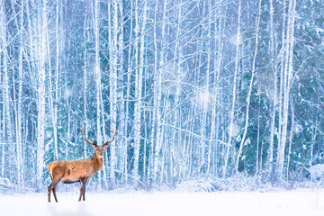 Noble deer against winter snowy forest. Artistic fairy Christmas. Winter seasonal image.