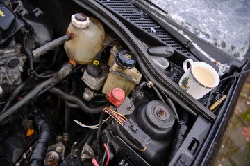 Ausgeschlachtetes Autowrack auf einem Schrottplatz.