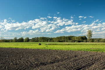 Plowed field, green meadow, forest and clouds on blue sky