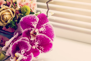 pink orchids in a vase on a windowsill in soft focus