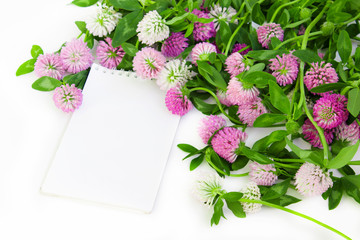 Clover flowers with notepad on white background