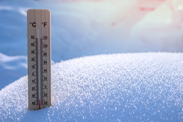Wooden thermometer on the background of bare trees