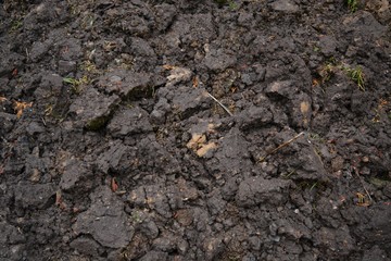 background of soil